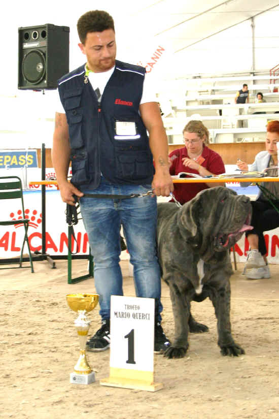 Trofeo Mario Querci 2012