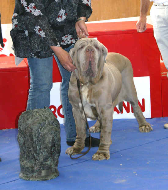 Trofeo Mario Querci 2012