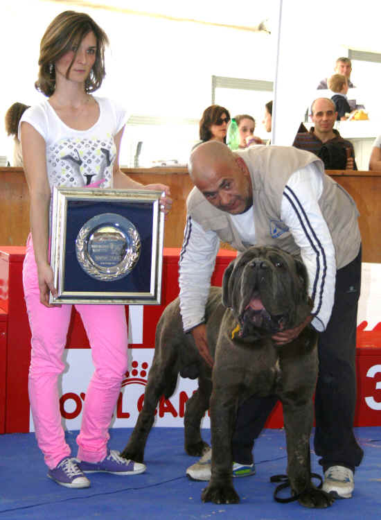 Trofeo Mario Querci 2012